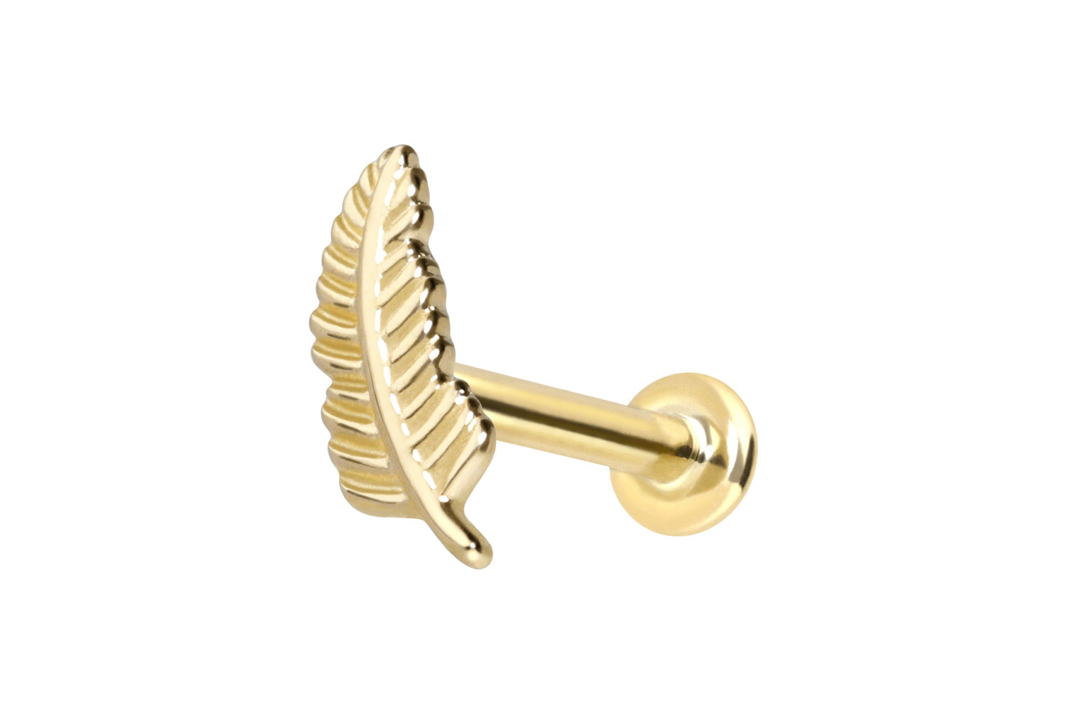 14 Karat Gold Labret Piercing mit Innengewinde FEDER